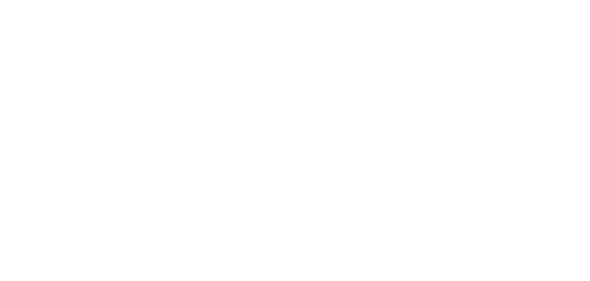 PIF Transporte